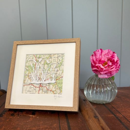Papercut showing group of ornamental grasses over an OS map extract in a wood effect frame next to flower for scale