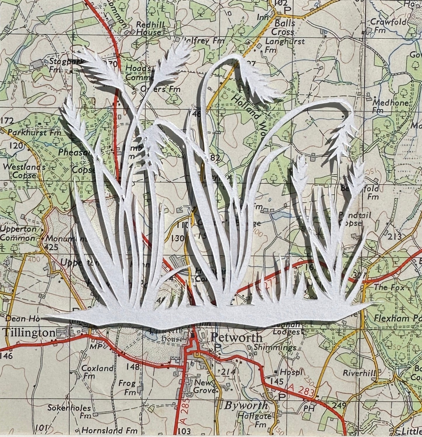 Papercut showing group of ornamental grasses over an OS map extract